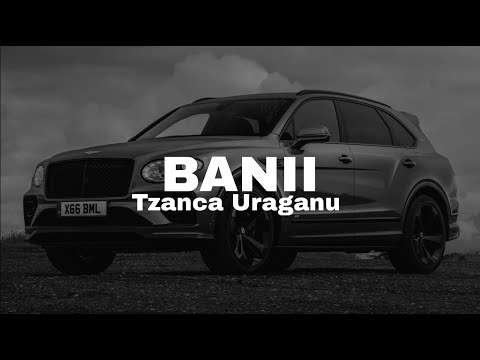 Tzanca Uraganu & Manele Mentolate — Banii cover artwork