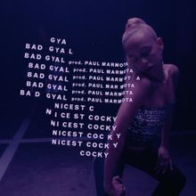 Bad Gyal Nicest Cocky cover artwork