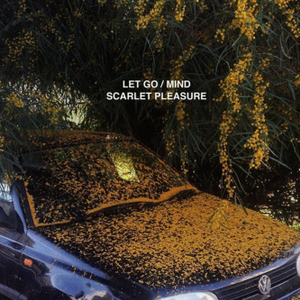 Scarlet Pleasure Let Go / Mind cover artwork