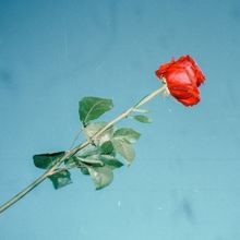 Jye — Disposable Love cover artwork