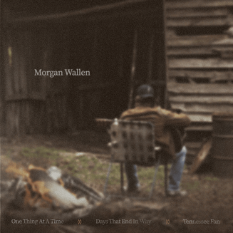 Morgan Wallen Days That End In Why cover artwork