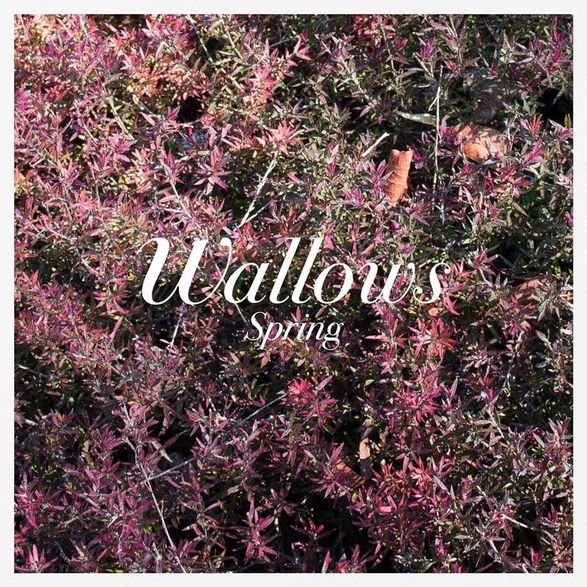 Wallows — Spring cover artwork