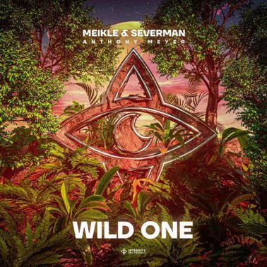 Meikle & Severman ft. featuring Anthony Meyer Wild One cover artwork