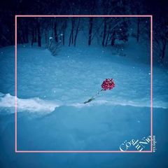 Cö shu Nie — asphyxia cover artwork