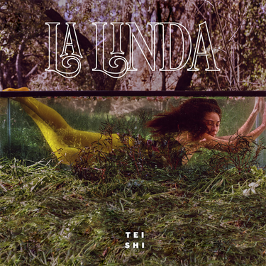 Tei Shi La Linda cover artwork