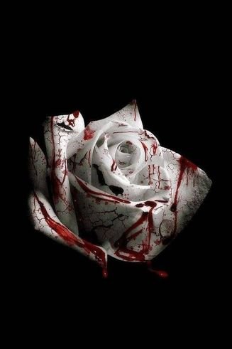 d4vd — Romantic Homicide cover artwork