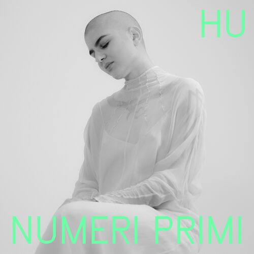 Hu Numeri primi cover artwork