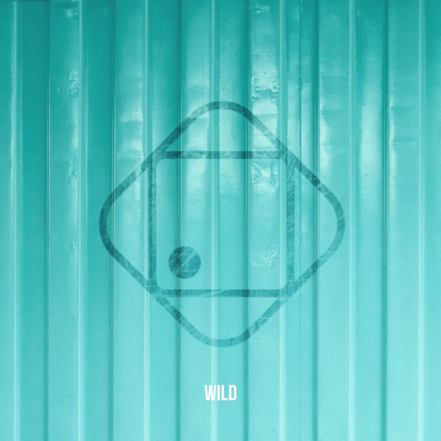 Hugo Helmig — Wild cover artwork