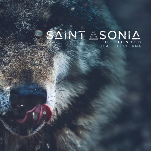 Saint Asonia ft. featuring Sully Erna The Hunted cover artwork