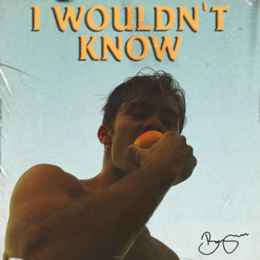 Benjamin Ingrosso — I Wouldn&#039;t Know cover artwork