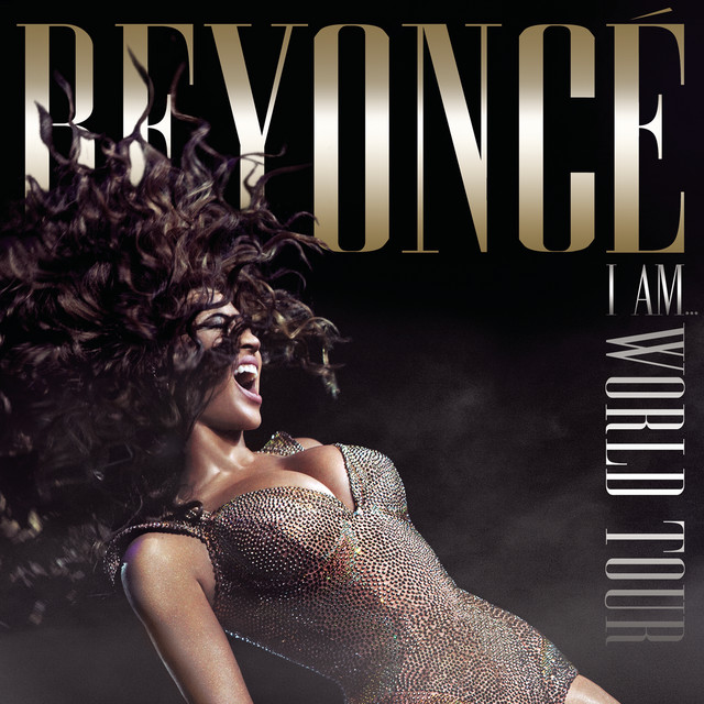 Beyoncé I Am... World Tour cover artwork