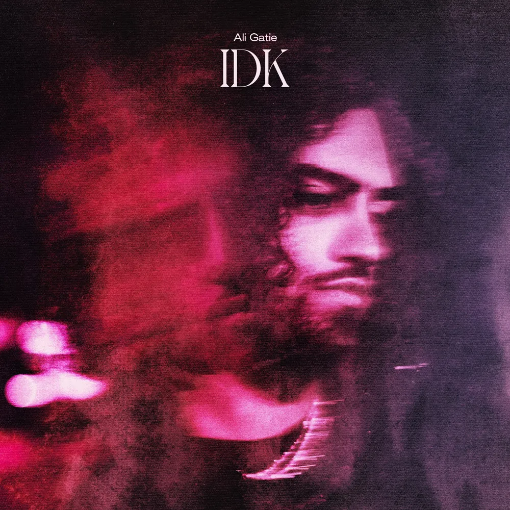 Ali Gatie — IDK cover artwork