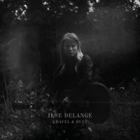 Ilse DeLange — New Amsterdam cover artwork