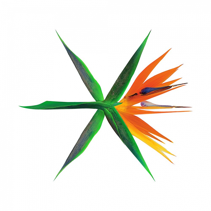 EXO — Ko Ko Bop cover artwork
