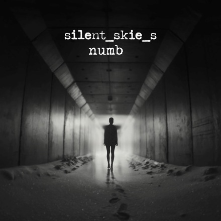 Silent Skies — Numb cover artwork