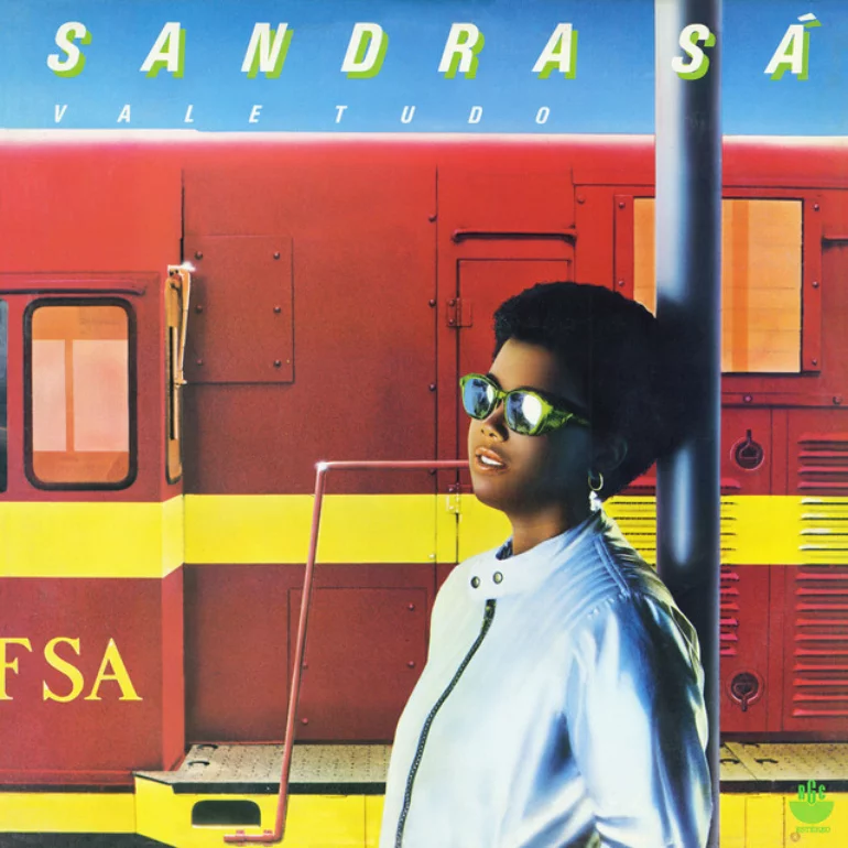 Sandra de Sá featuring Tim Maia — Vale Tudo cover artwork