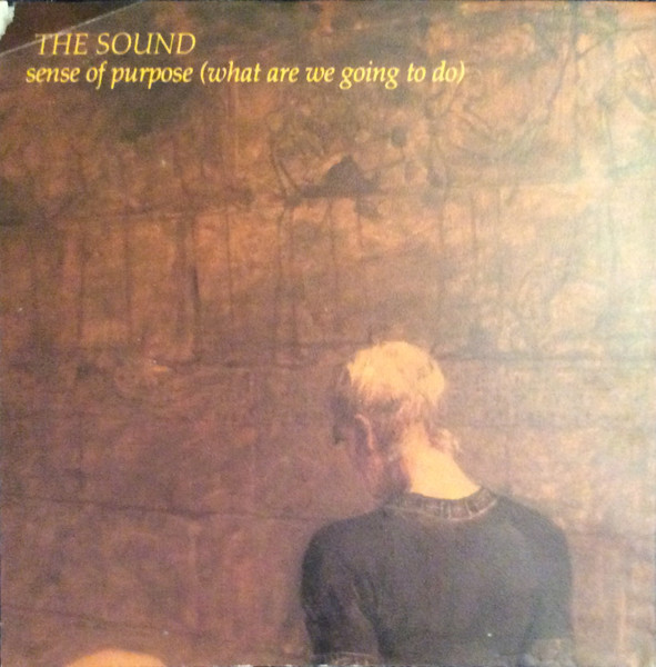 The Sound — Sense of Purpose (What Are We Going to Do) cover artwork