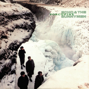 Echo &amp; the Bunnymen Porcupine cover artwork