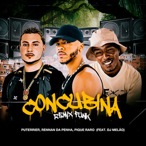 Puterrier, Rennan da Penha, & Pique Raro ft. featuring Dj Melão Concubina (Funk Remix) cover artwork