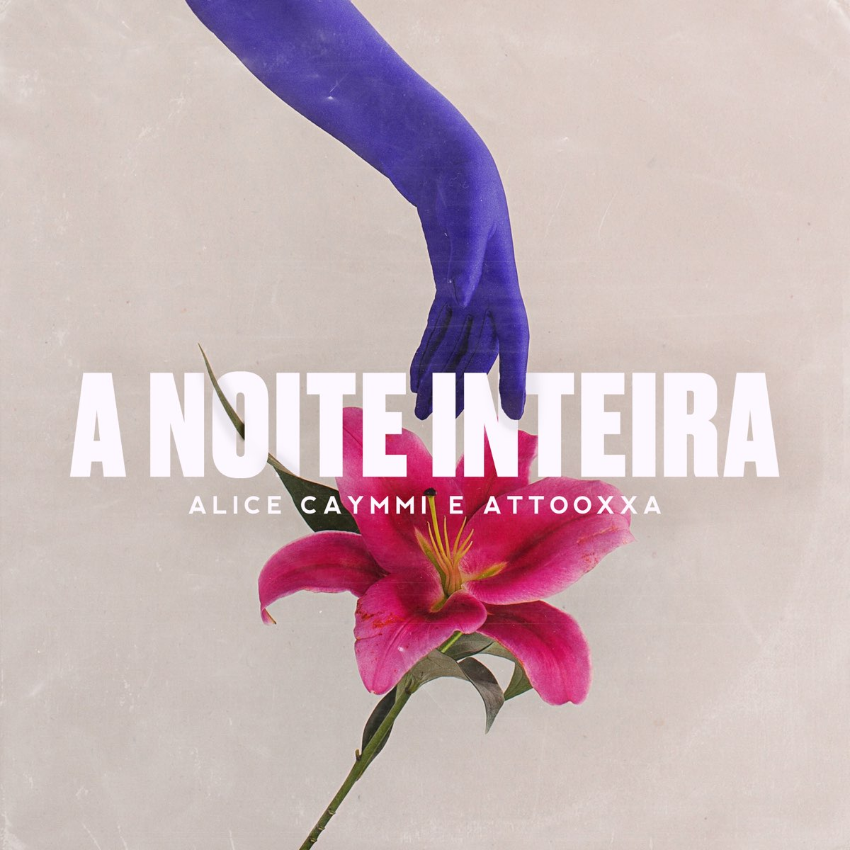 Alice Caymmi & ÀTTØØXXÁ A Noite Inteira cover artwork