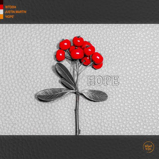 Justin Martin — Hope cover artwork