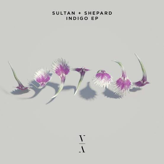 Sultan + Shepard Indigo EP cover artwork