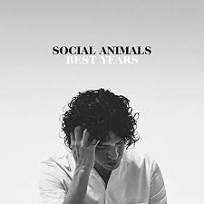 Social Animals — Best Years cover artwork
