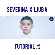 Severina ft. featuring Ljuba Stanković Tutorial cover artwork