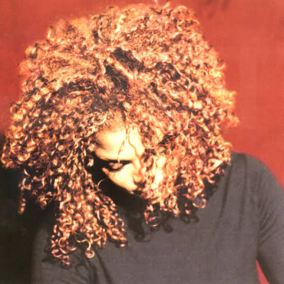 Janet Jackson — The Velvet Rope cover artwork