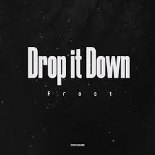 Frost (RUS) — Drop It Down cover artwork