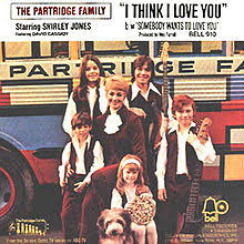 Partridge Family — I Think I Love You cover artwork