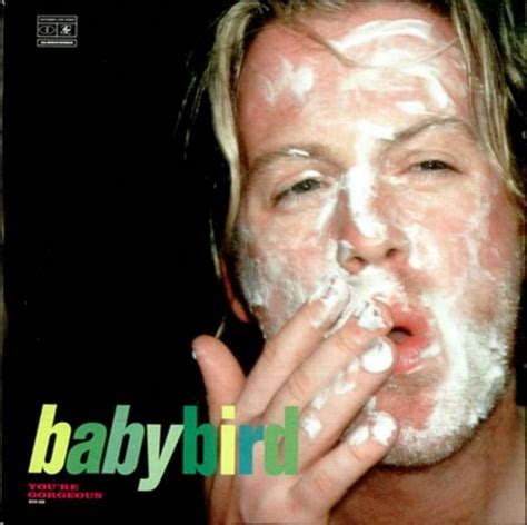 Babybird — You&#039;re Gorgeous cover artwork