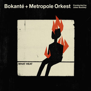 Bokanté featuring Metropole Orkestra — All The Way Home cover artwork