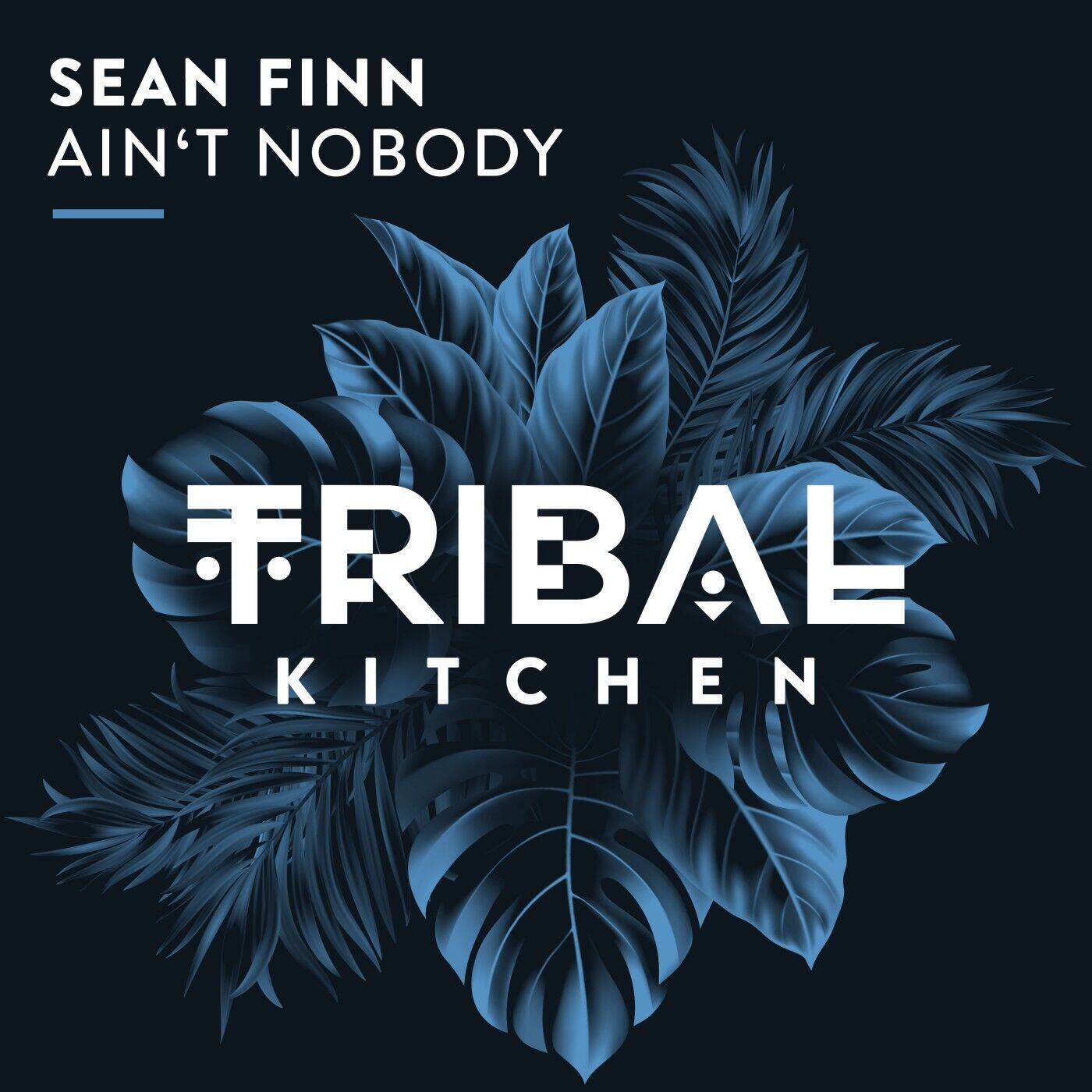 Sean Finn Ain&#039;t Nobody cover artwork