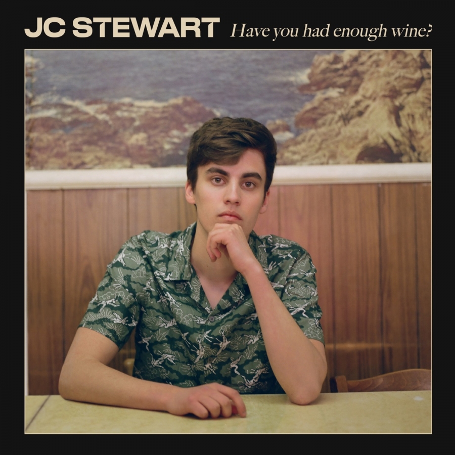 JC Stewart Have You Had Enough Wine? cover artwork