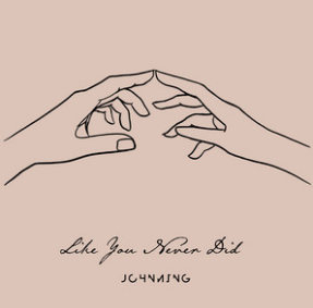 Johnning — Like You Never Did cover artwork