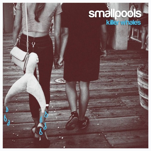 Smallpools — Killer Whales cover artwork