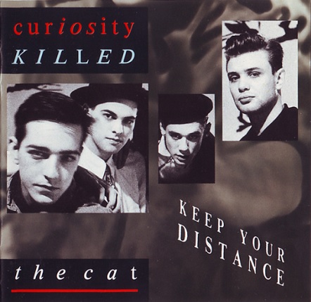 Curiosity Killed the Cat — Down to Earth cover artwork
