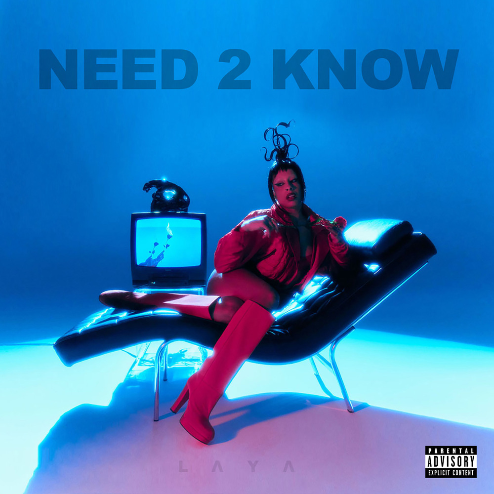 LAYA Need 2 Know cover artwork