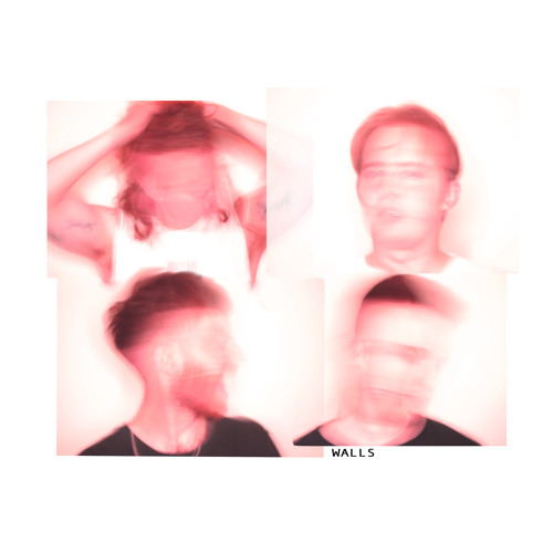 Luna Bay — Walls cover artwork