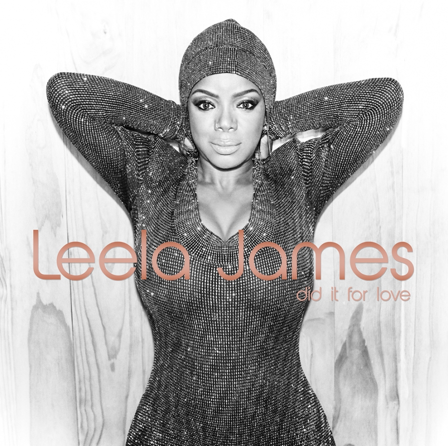 Leela James Did It For Love cover artwork