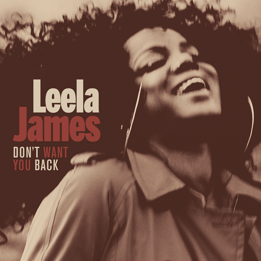 Leela James Don&#039;t Want You Back cover artwork