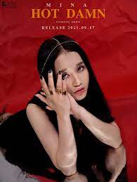 Mina Hot Damn cover artwork
