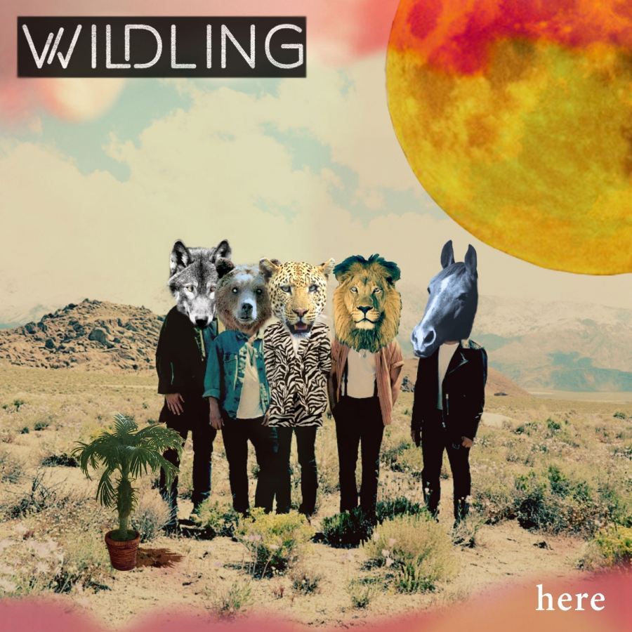 Wildling — Hummingbird cover artwork