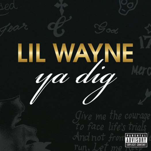Lil Wayne Ya Dig cover artwork