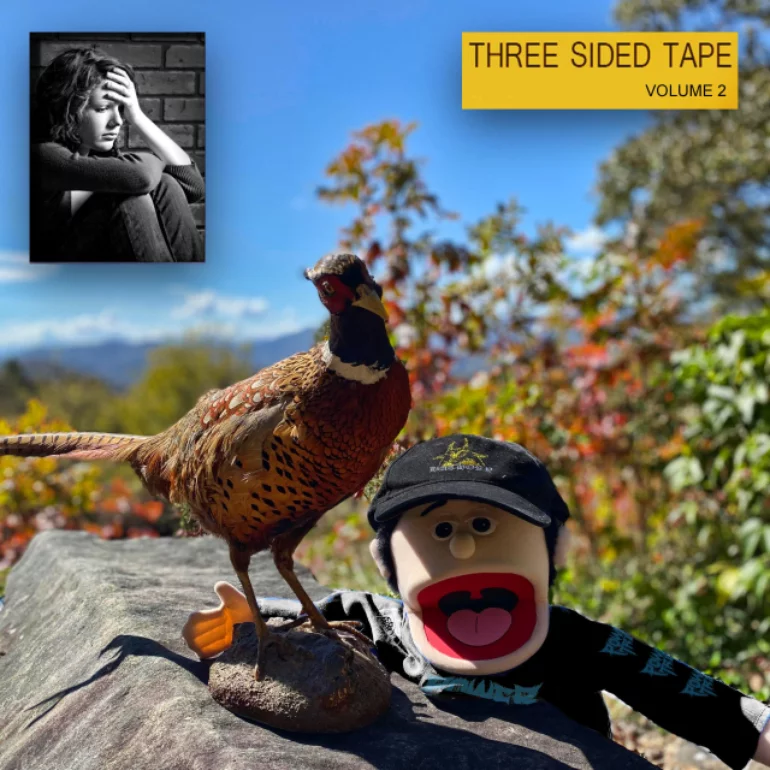 Lil Ugly Mane — Three Sided Tape Volume Two cover artwork