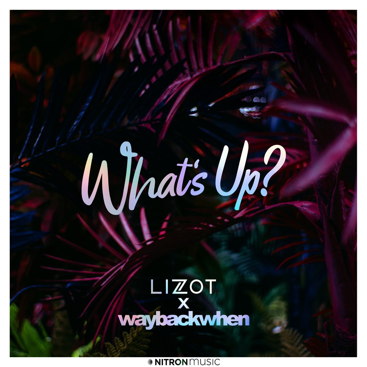 LIZOT & waybackwhen — What&#039;s Up? cover artwork