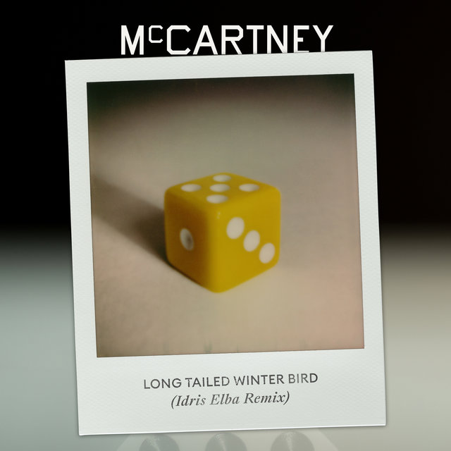 Paul McCartney featuring Idris Elba — Long Tailed Winter Bird cover artwork