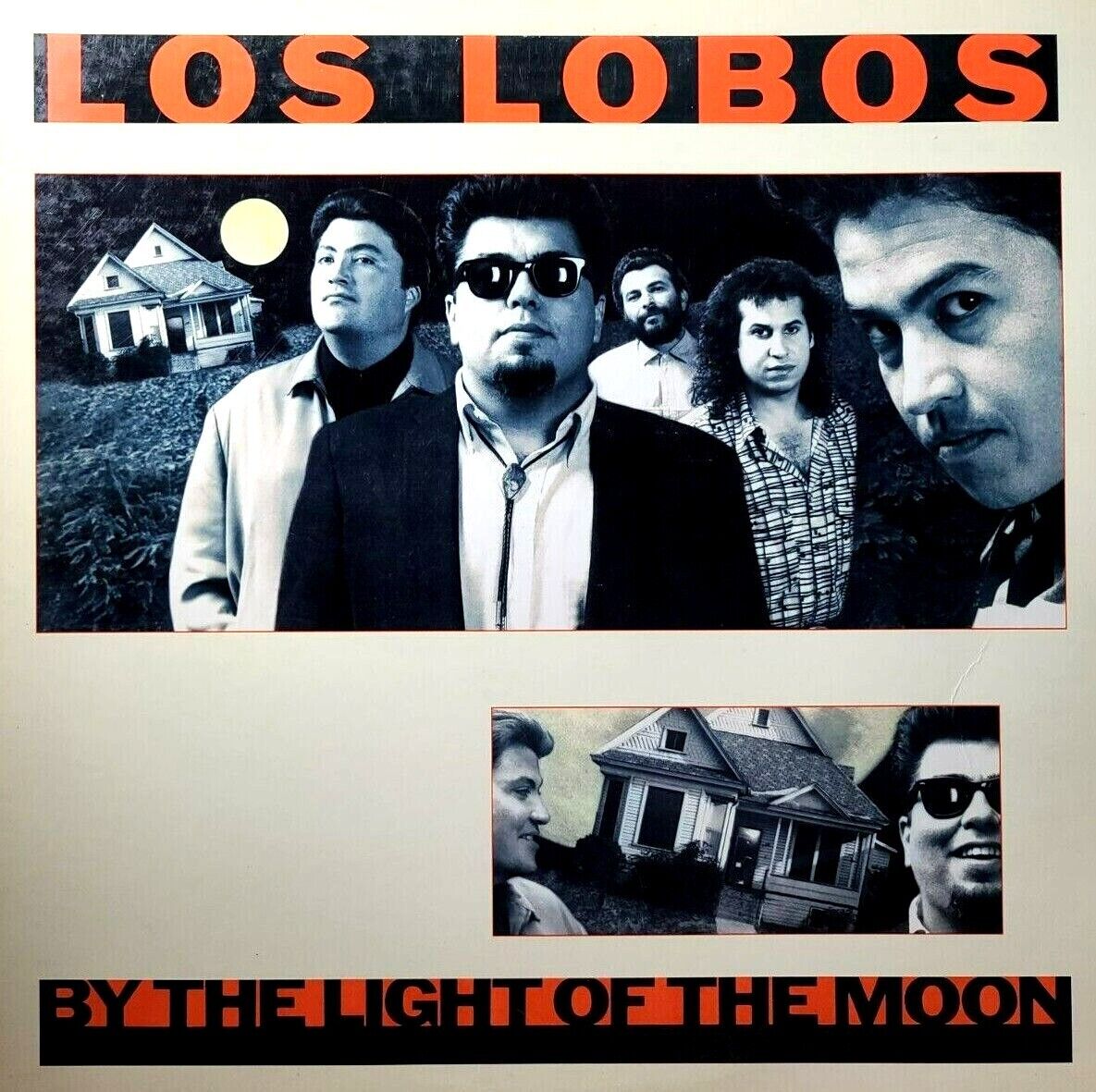 Los Lobos — Shakin&#039; Shakin&#039; Shakes cover artwork