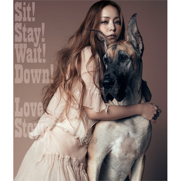 Namie Amuro — Love Story cover artwork